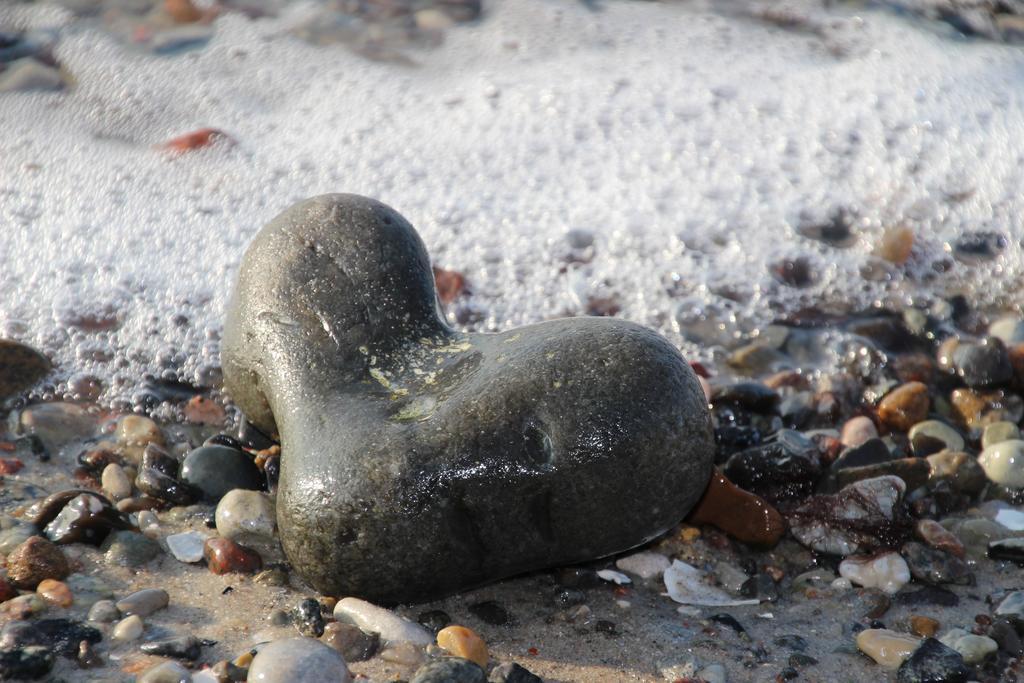 Meine Fischerhuette Boergerende-Rethwisch Luaran gambar